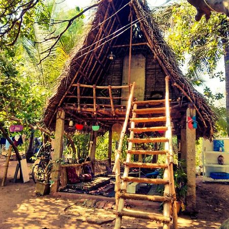 Peace Garden Inn Auroville Exteriér fotografie